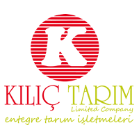 Kılıç